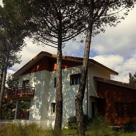 Bed and Breakfast Il Giardino Di Leoca Nicolosi Exterior foto